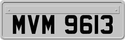 MVM9613