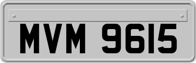 MVM9615