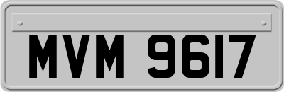 MVM9617