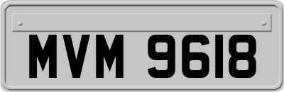 MVM9618