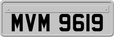 MVM9619