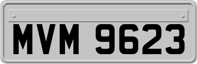 MVM9623