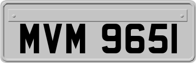 MVM9651