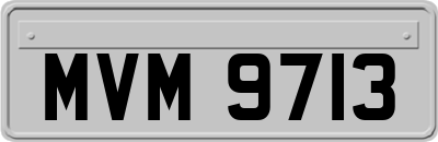 MVM9713