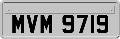 MVM9719