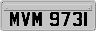 MVM9731