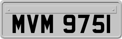 MVM9751