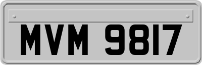 MVM9817