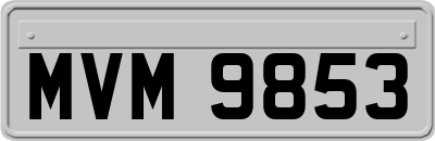 MVM9853