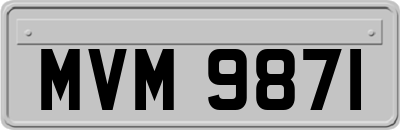 MVM9871