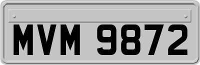 MVM9872