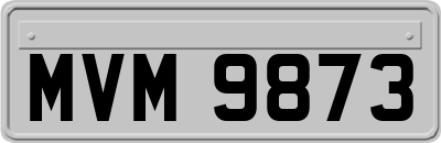 MVM9873