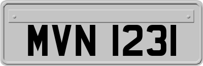 MVN1231