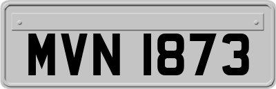 MVN1873