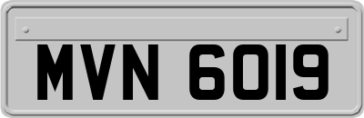 MVN6019