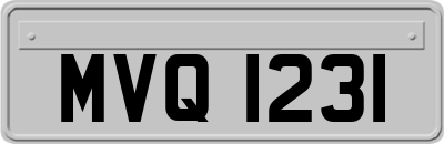 MVQ1231