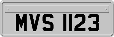 MVS1123