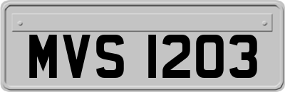 MVS1203