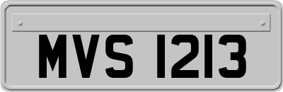 MVS1213