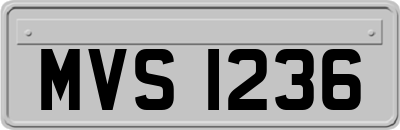 MVS1236