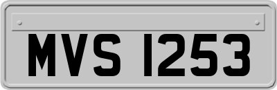 MVS1253