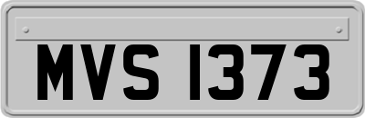 MVS1373