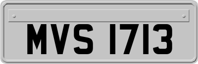 MVS1713