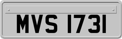 MVS1731