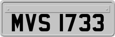 MVS1733