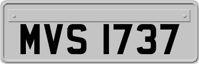 MVS1737