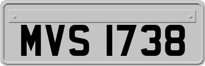 MVS1738