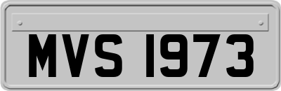 MVS1973