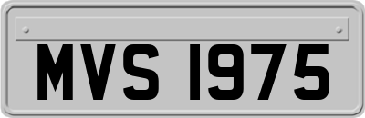 MVS1975