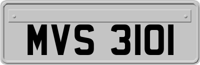 MVS3101