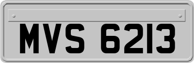 MVS6213