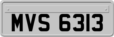 MVS6313