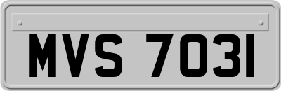 MVS7031