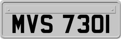 MVS7301