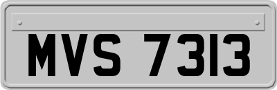 MVS7313