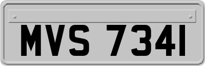 MVS7341