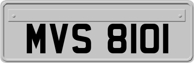 MVS8101