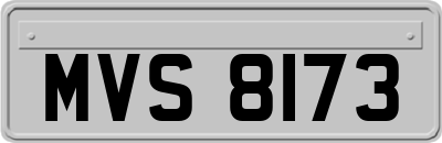 MVS8173