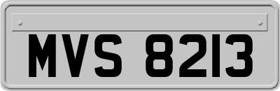 MVS8213