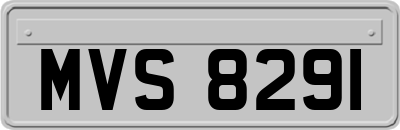 MVS8291