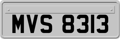 MVS8313