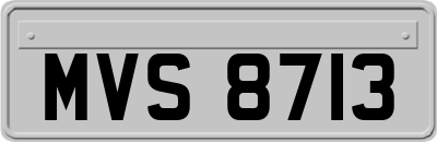 MVS8713