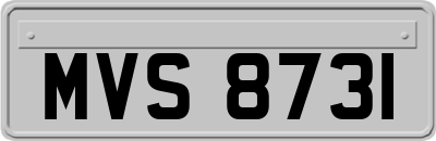 MVS8731