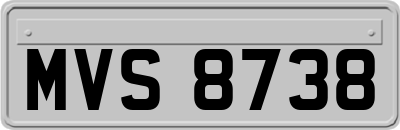 MVS8738