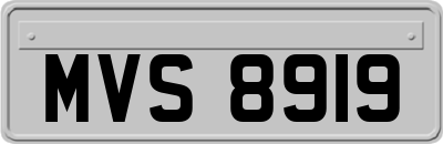 MVS8919