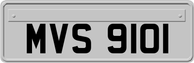 MVS9101